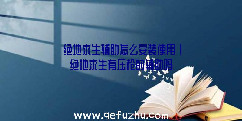 「绝地求生辅助怎么安装使用」|绝地求生有压枪的辅助吗